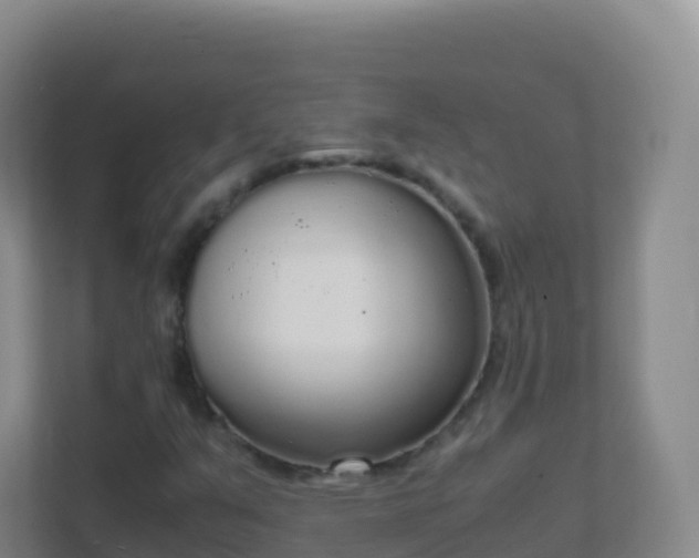 X0000111651351200907241123