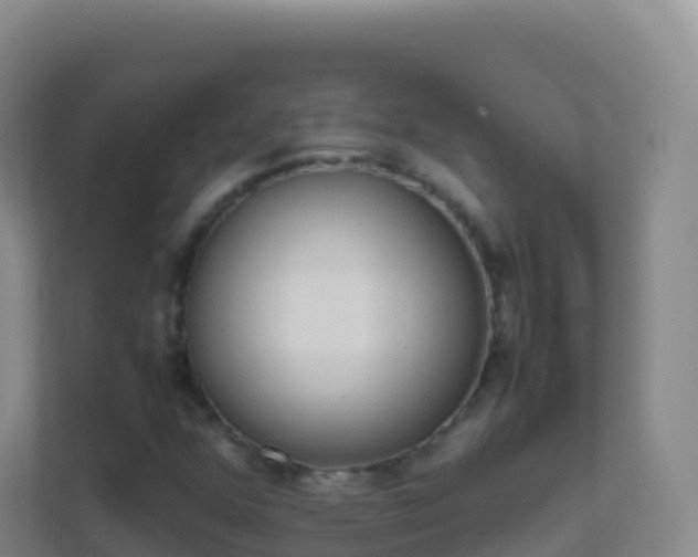 X0000111651352200907241123