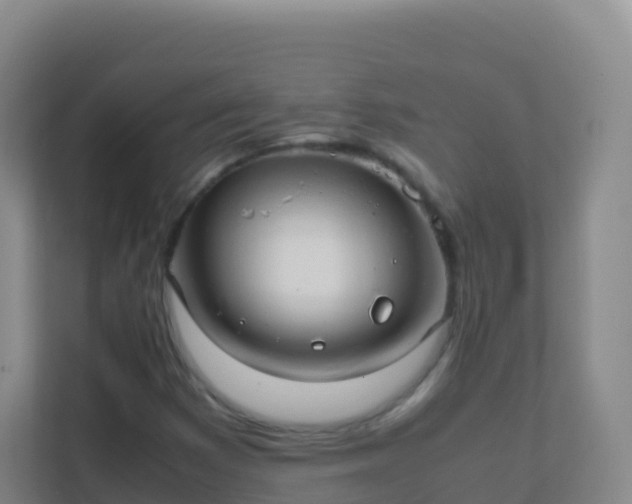 X0000111651353200907241123