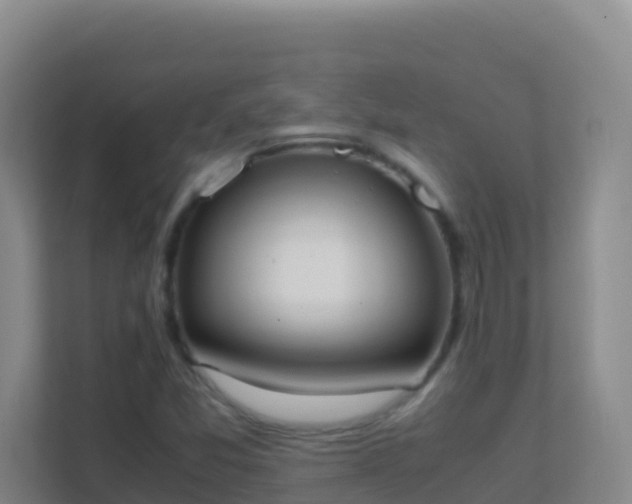 X0000111651357200907241123