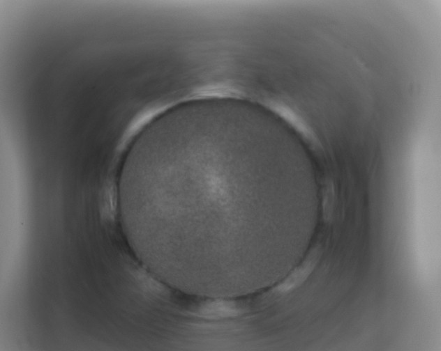X0000111651358200907241123