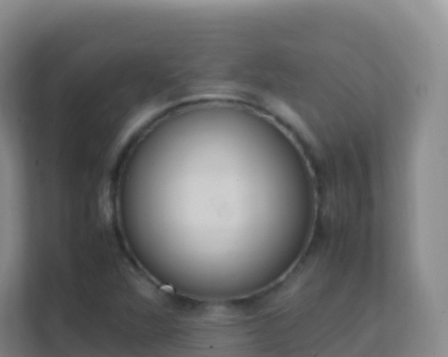 X0000111651360200907241123