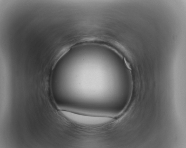 X0000111651361200907241123