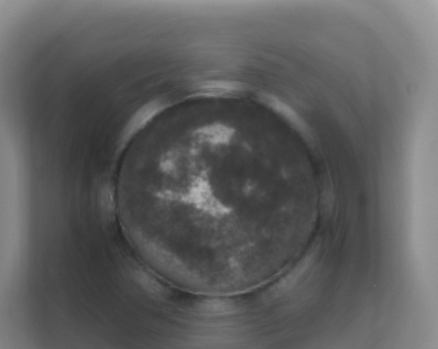 X0000111651362200907241123