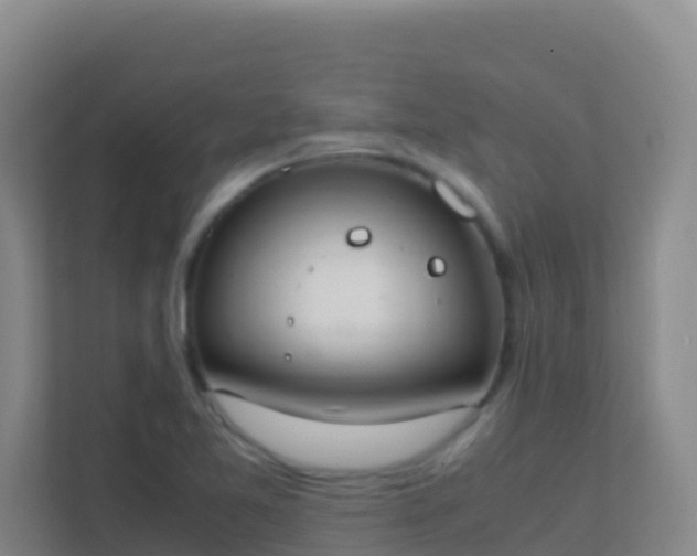 X0000111651365200907241123