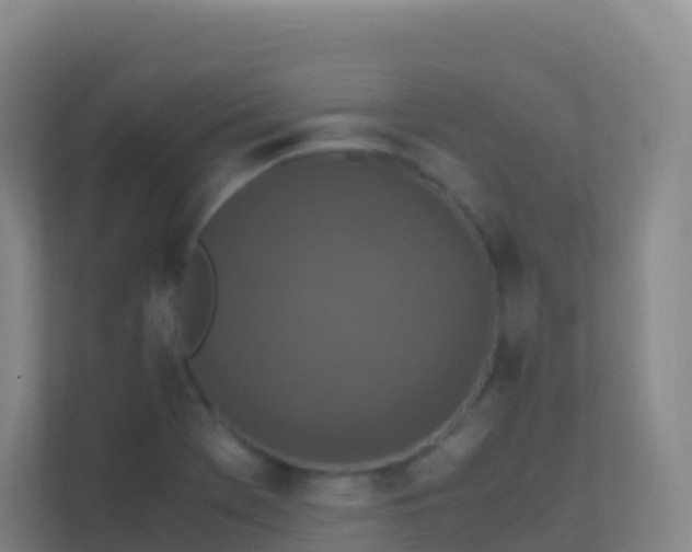 X0000111651369200907241123