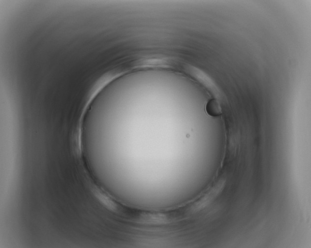 X0000111651370200907241123