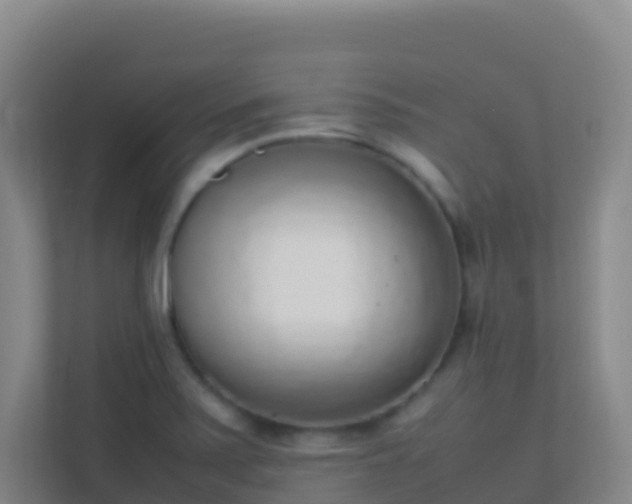 X0000111651371200907241123