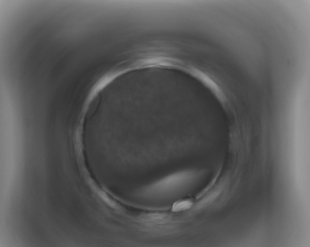 X0000111651373200907241123