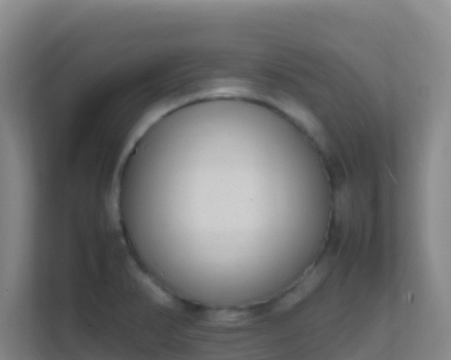 X0000111651374200907241123