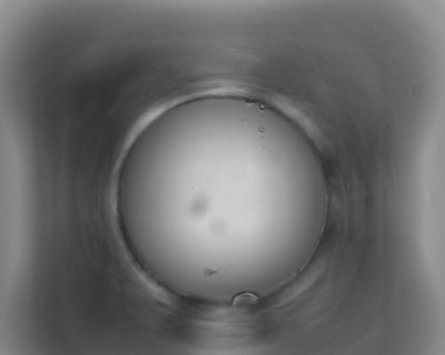 X0000111651375200907241123