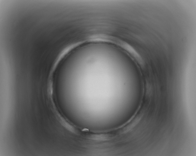X0000111651376200907241123