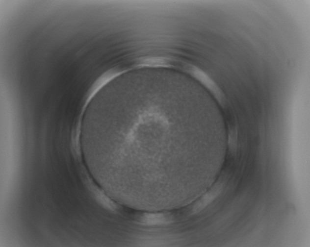 X0000111651378200907241123