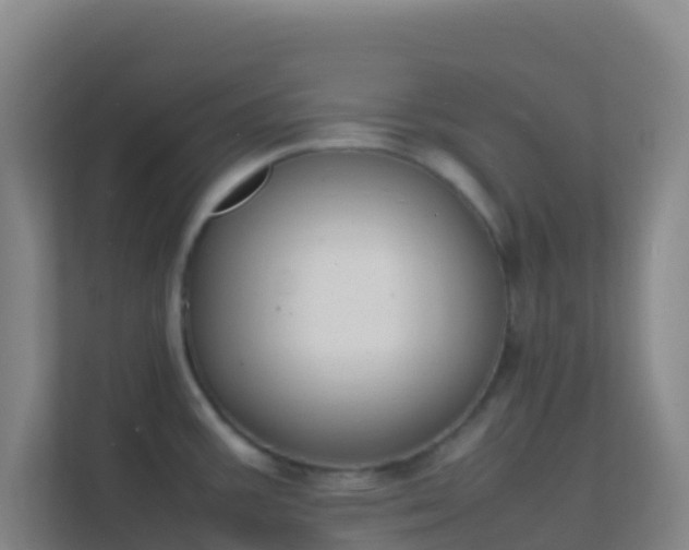 X0000111651387200907241122