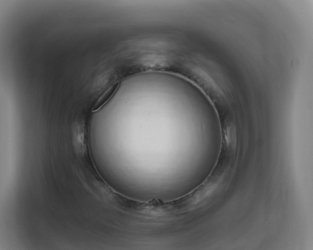 X0000111651396200907241122