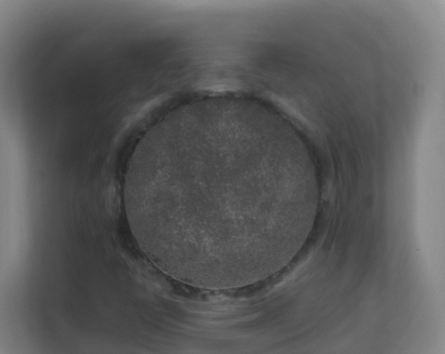 X0000111651398200907241122
