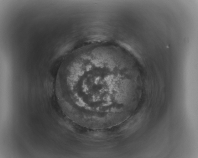 X0000111651399200907241122