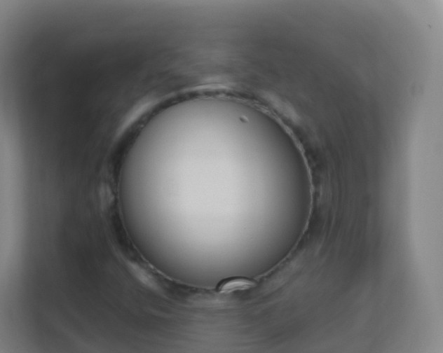 X0000111651400200907241122