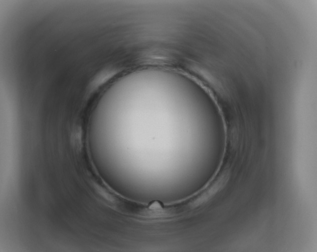 X0000111651402200907241122