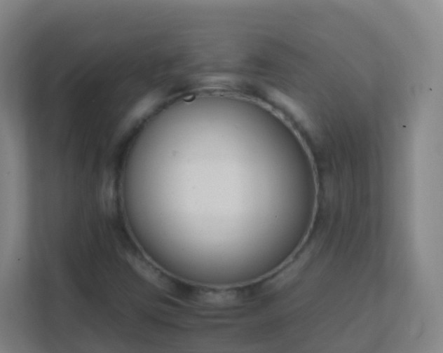X0000111651403200907241122