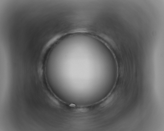 X0000111651406200907241122