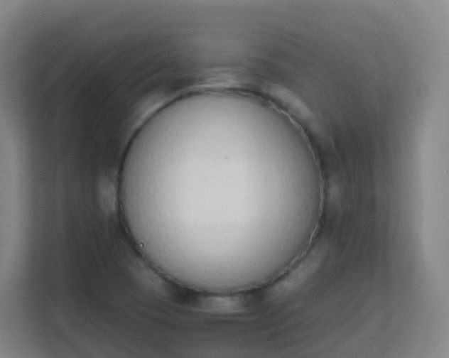 X0000111651409200907241122