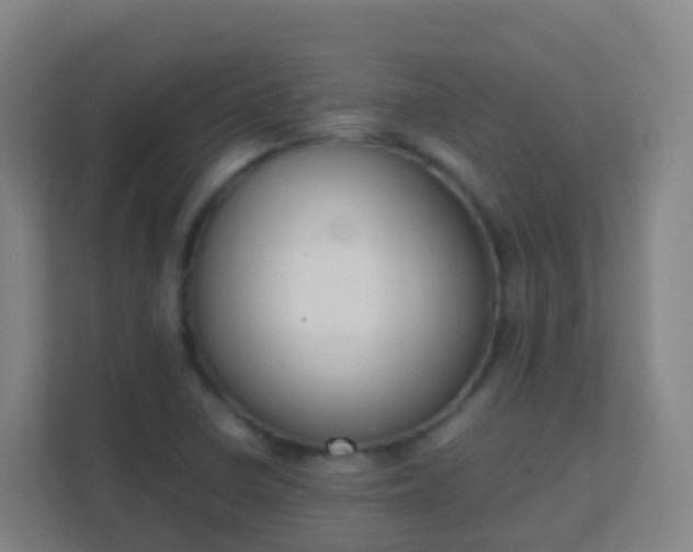 X0000111651410200907241122
