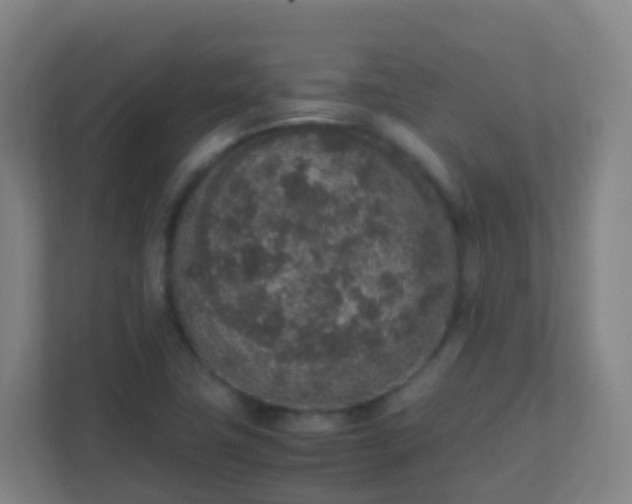 X0000111651411200907241122