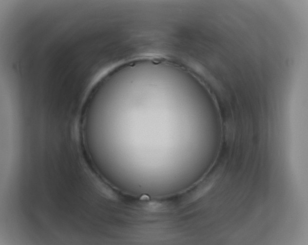 X0000111651412200907241122
