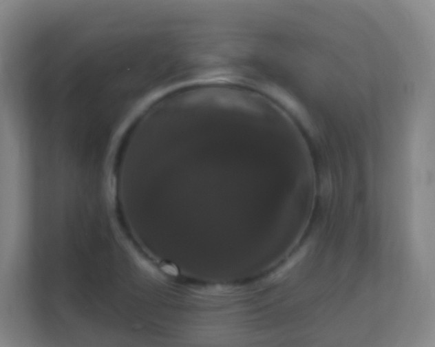 X0000111651414200907241122