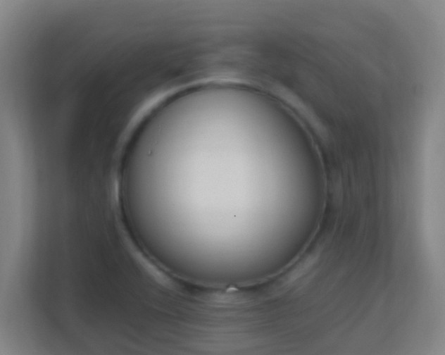 X0000111651416200907241122