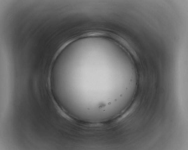 X0000111651417200907241122