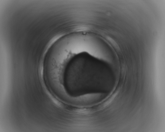 X0000111651418200907241122