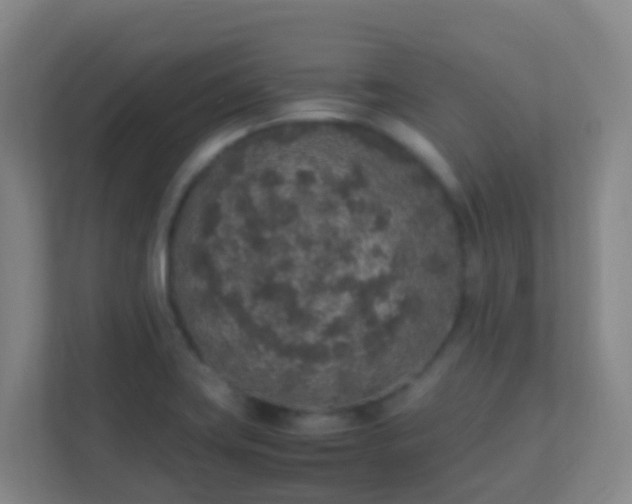 X0000111651419200907241122