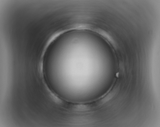 X0000111651424200907241122