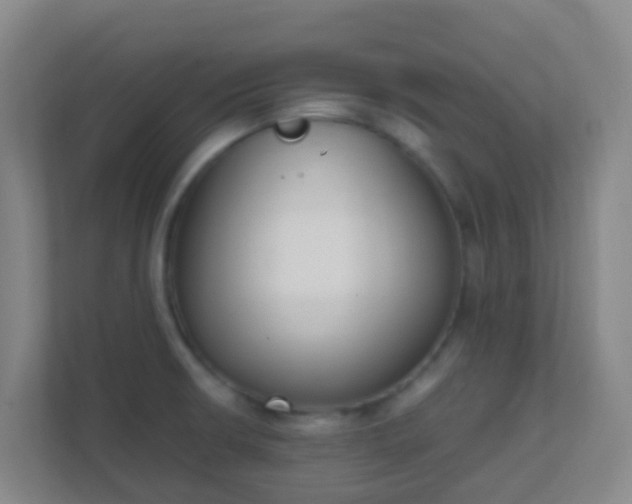 X0000111651426200907241122