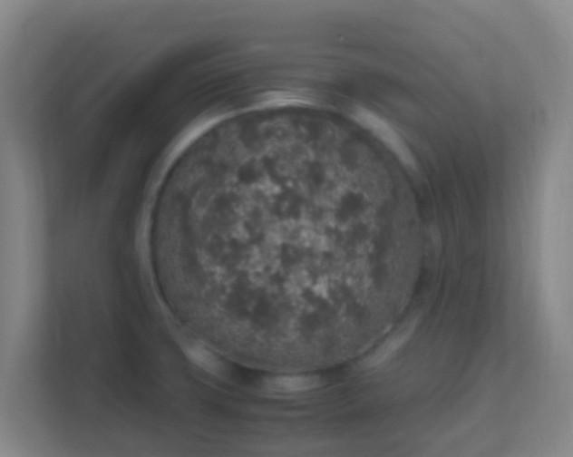 X0000111651427200907241122
