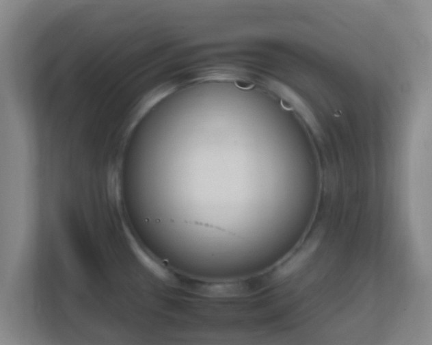 X0000111651433200907241122