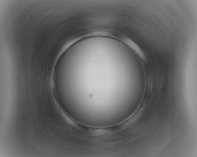 X0000111651436200907241122