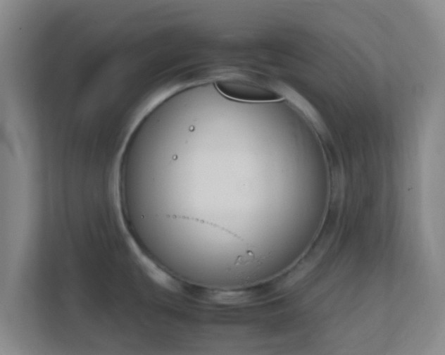 X0000111651439200907241122