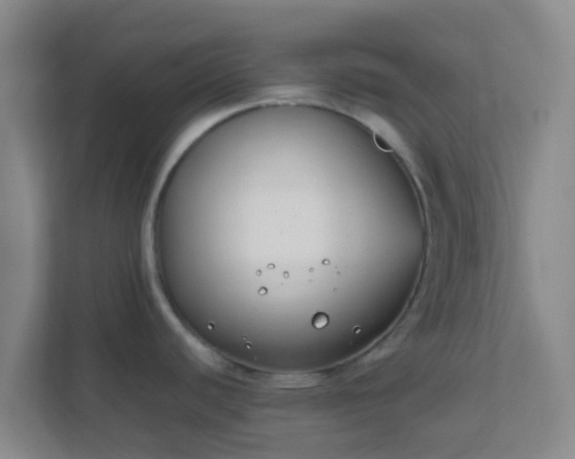 X0000111651440200907241122