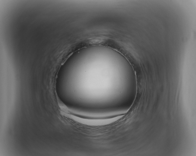 X0000111651441200907241122