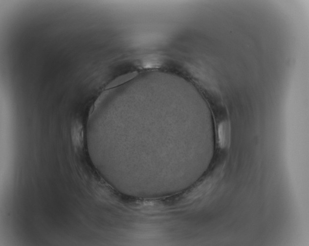 X0000111651443200907241122