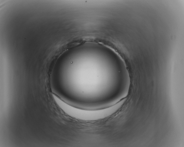 X0000111651445200907241122