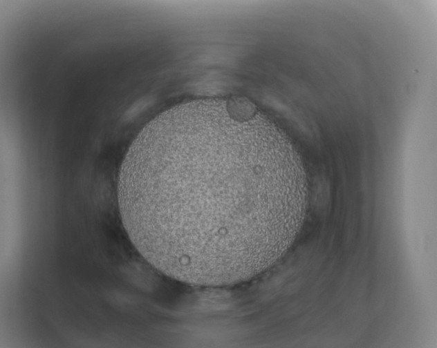 X0000111651446200907241121