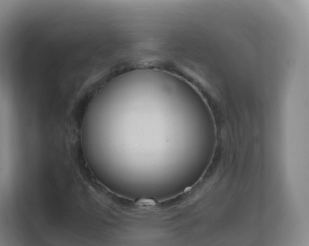 X0000111651447200907241121
