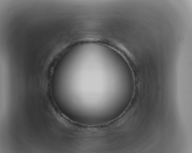 X0000111651448200907241121