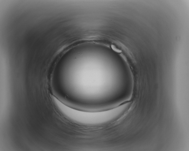 X0000111651449200907241121