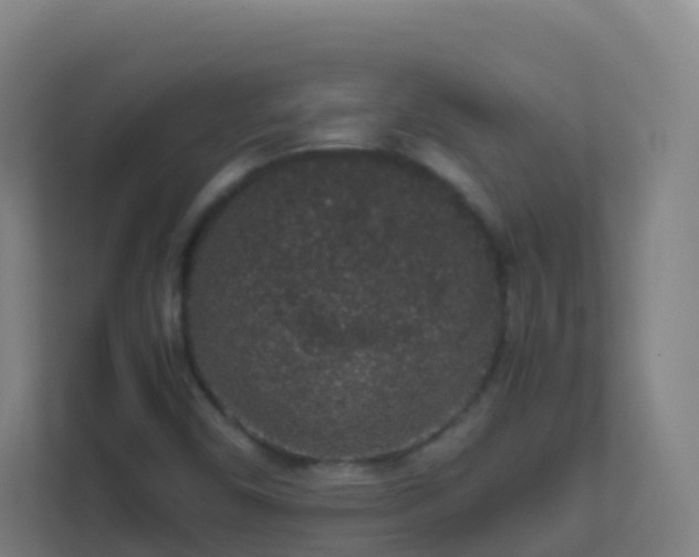 X0000111651450200907241121