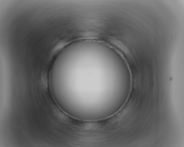 X0000111651451200907241121